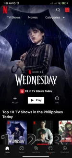 Screenshot_2022-12-13-01-06-08-583_com.netflix.mediaclient.webp