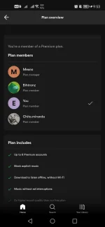 Screenshot_20221213_095337_com.spotify.music.webp