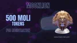 500 moli (1).webp