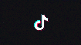 tiktok-logo.gif tiktok-logo.gif