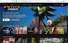 newflix.webp newflix.webp