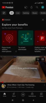 Screenshot_2022-12-19-00-32-07-303_com.google.android.YøùTùbé.webp
