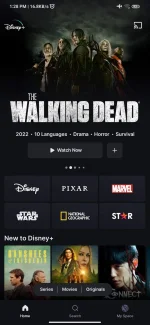 Screenshot_2022-12-20-13-28-51-622_com.disneyplus.ph.webp