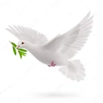 depositphotos_337465026-stock-photo-dove-peace-flying-green-twig.jpg depositphotos_337465026-stock-photo-dove-peace-flying-green-twig.jpg