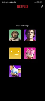 Screenshot_2022-12-23-17-53-03-920_com.netflix.mediaclient.webp
