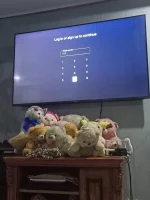 16717953668452267963248005215214.webp
