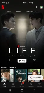 Screenshot_20221224_220000_Netflix.webp