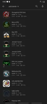 Screenshot_20221226-044212_Google Play Store.webp