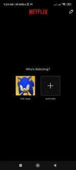 Screenshot_2022-12-27-09-24-40-486_com.netflix.mediaclient.webp