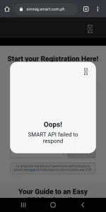 api.jpg