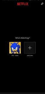 Screenshot_2022-12-27-20-33-08-078-edit_com.netflix.mediaclient.webp