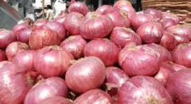 ONiON3.webp ONiON3.webp
