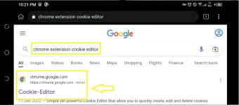 3. search cookie editor.png