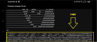 6. copy downloaded cookie.png