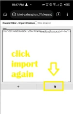 12. click import again.png