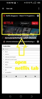 13. opentab Nétflí× site and reload.png