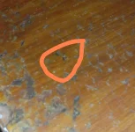 IMG_20221230_144830.webp