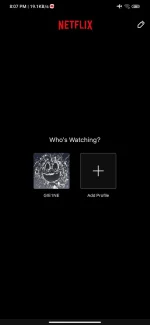 Screenshot_2022-12-29-20-07-27-888_com.netflix.mediaclient.webp