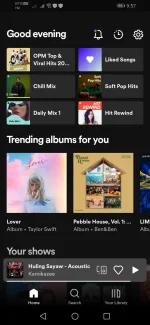 Screenshot_20221230_215759_com.spotify.music.jpg