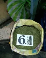 0AF231DF-9C59-4C2B-8766-08E8BD336BF8.webp
