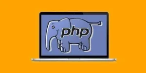 29_4.webp
