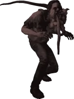 1672652090221.webp