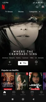 Screenshot_2023-01-07-13-22-48-621_com.netflix.mediaclient.webp