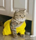 1673169617999.webp