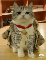 1673169627971.webp