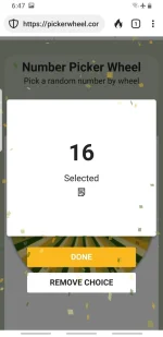 16.webp