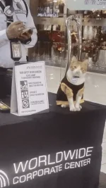 1673261935348.webp
