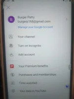 16735588912052497163494640031853.webp