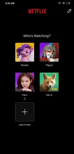 Screenshot_2023-01-14-08-35-49-143_com.netflix.mediaclient.webp