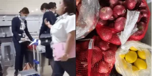 TFT-NEWS-onions-customs.webp TFT-NEWS-onions-customs.webp
