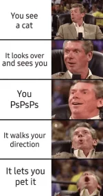 1673924072505.webp