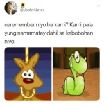 1674001194297.webp