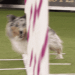200.gif