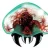Metroid