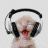 Offline