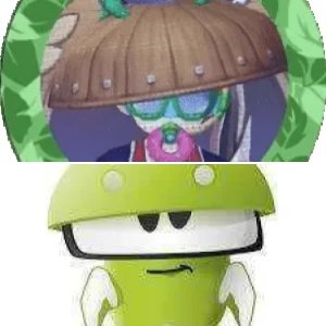 Profile Pictures