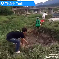 Funny Videos