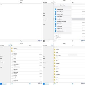 Bypassing to Prevent Apps from Revoking. ~iOS~