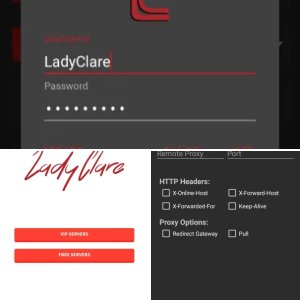 LadyClareVPN