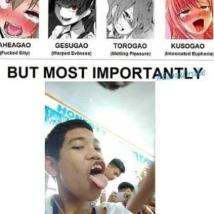ElenaDrake's Meme Archives