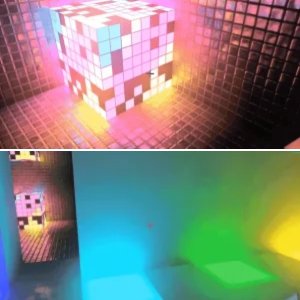 My Game Album