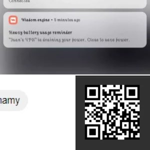 Mirror QR Code