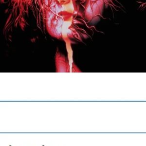 Body Snatchers (1993)