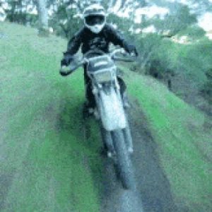 Rides