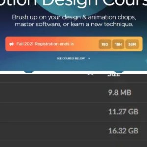 School of Motion Premium Courses