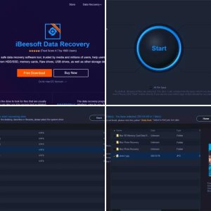 iBeesoft Data Recovery